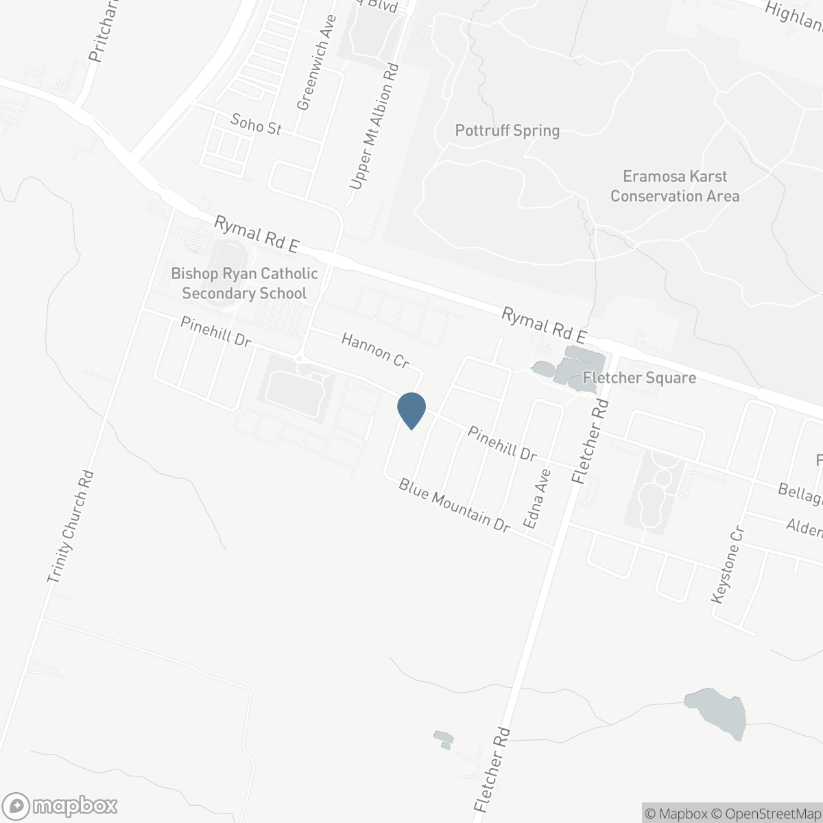 137 PINEHILL Drive, Hamilton, Ontario L0R 1P0